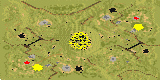 GAMESPY TORNEY MAP 1V1  BY HUTSO - Red Alert 2 Map Preview Image